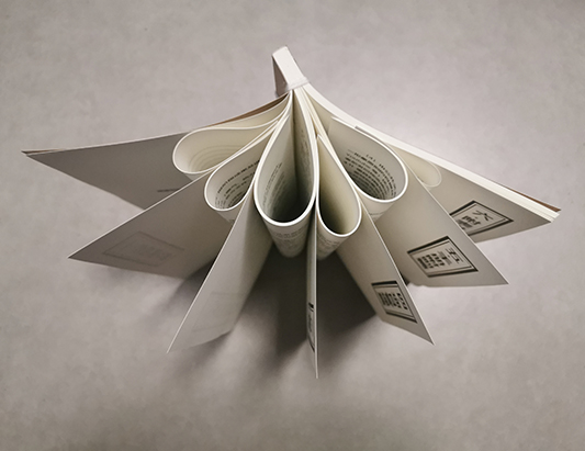 CISSP认证考试指南【2025年10月版】