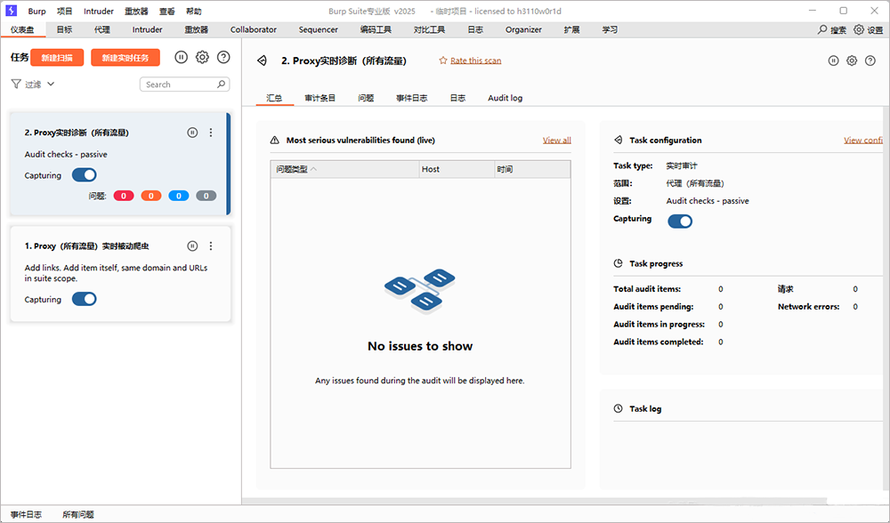 BurpSuite Pro 2025界面截图
